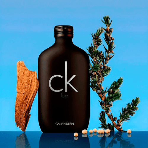 Calvin Klein CK Be Eau de Toilette - Perfume Unissex 100ml 100ml 100ml