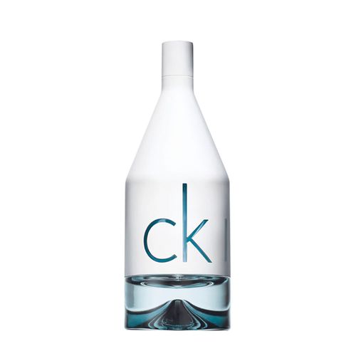 Perfume Calvin Klein Ck In2U For Him Masculino - Eau de Toilette 100ml 100ml