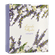 image-8dc89523d14c4d86b4171ea16aaa694a