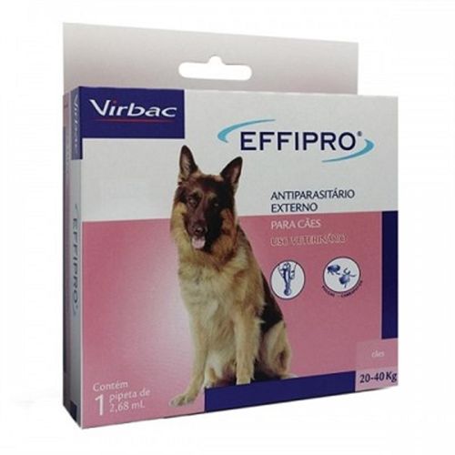 image-e81867dfa88f4ac09a550a49f4fb0161 image-e81867dfa88f4ac09a550a49f4fb0161