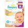 Fralda-Descartavel-Pampers-Premium-Care-M-24-Unidades-Drogaria-SP-362530-2