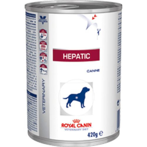 image-93bc62478f9243eb85b0f15f3311beb1 image-93bc62478f9243eb85b0f15f3311beb1