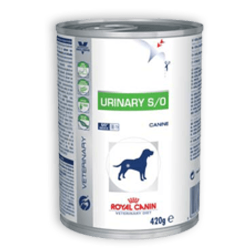 image-0710167efb024ec8ac14d654fbdc787f image-0710167efb024ec8ac14d654fbdc787f