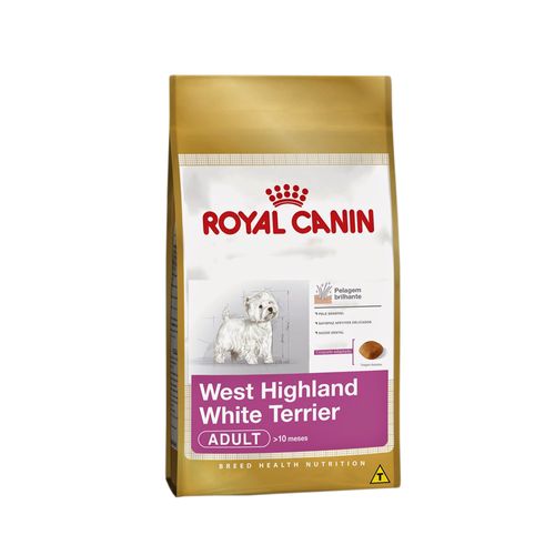 image-81ccca00186f491f9f509ed568b07564 image-81ccca00186f491f9f509ed568b07564