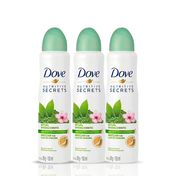 kit-desodorante-aerosol-feminino-dove-ritual-energizante-matcha-89g-3-unidades-Sao-paulo-93512540