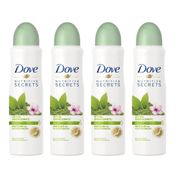 Kit-Desodorante-Dove-Aerosol-Ritual-Energizante-Matcha-150ml-4-unidades-Drogaria-SP-935127128