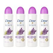 Kit-Desodorante-Dove-Aerosol-Ritual-Relaxante-Lavanda-150ml-4-Unidades-Drogaria-SP-935127129