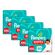 935128245---Kit-Fralda-Pampers-Pants-Ajuste-Total-XXG-240-Unidades