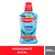 316652---Antisseptico-Bucal-Plax-Soft-Mint-500ml