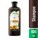 709344---shampoo-herbal-essences-biorenew-leite-de-coco-400ml-2