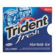 Trident Fresh Hortelã/ Ice 10,9g
