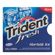 Trident Fresh Hortelã/ Ice 10,9g