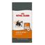 Ração Royal Canin Hair & Skin 33