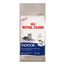 Ração Royal Canin Indoor 7+