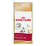 Ração Royal Canin Persian 30