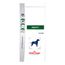 Ração Royal Canin Veterinary Diet Canine Obesity