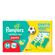 Fralda Pampers Confort Sec Pants M 80 Unidades + Meinha Puket
