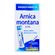 Arnica Montana 6 CH Boiron 8g Arnica Montana 6 CH Boiron 8g