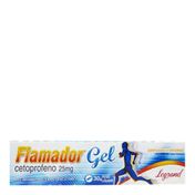 Flamador Gel 25mg Legrand Pharma 30g