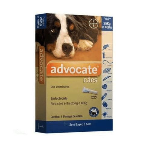 7891106006057 7891106006057