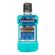Enxaguante Bucal Listerine Tártaro Control 500 + 250ml