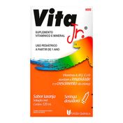 Vita Jr Solução Oral 120ml