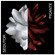 image-f9eb385ae8e440e8816fd6470c68d2dd