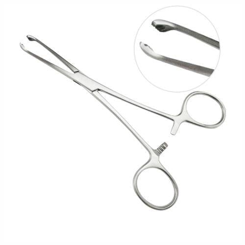 image-3273a377453e4048a473a69381873541 image-3273a377453e4048a473a69381873541