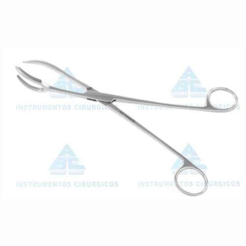 image-d1ed2c8a8152434eb72b2dea0f7ba8b2 image-d1ed2c8a8152434eb72b2dea0f7ba8b2