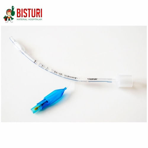 image-01f7d842e73c4d2f9e2f680b2135b02e image-01f7d842e73c4d2f9e2f680b2135b02e