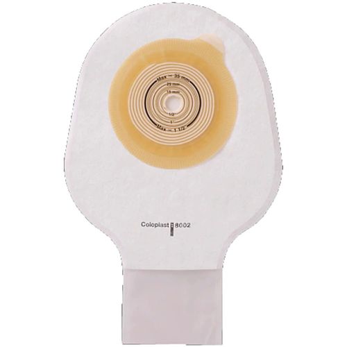 image-42bef212ac874a0fabe911e7248a7d26 image-42bef212ac874a0fabe911e7248a7d26