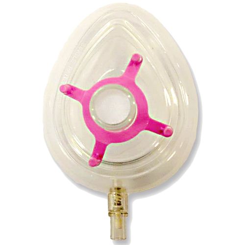 image-52cba5ed3f9842f9ad6713318b51f282 image-52cba5ed3f9842f9ad6713318b51f282