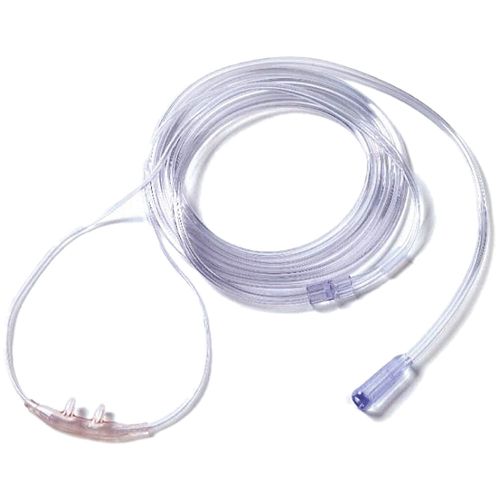 image-fdcb7b5dc5f84469aebb6f940a80a092 image-fdcb7b5dc5f84469aebb6f940a80a092