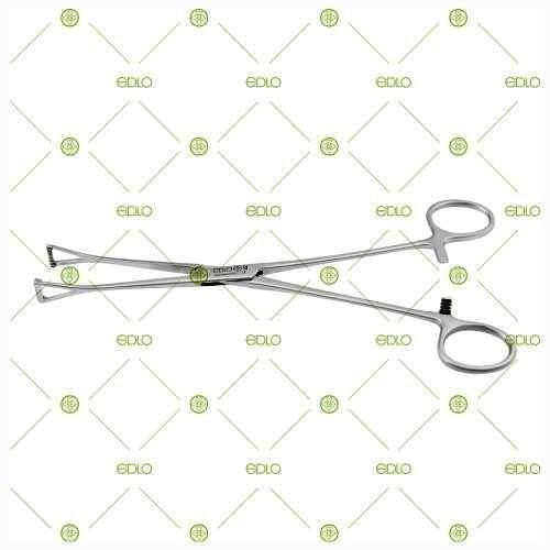 image-cc2324a09aae4a1ab6ffef1ba7226ff5