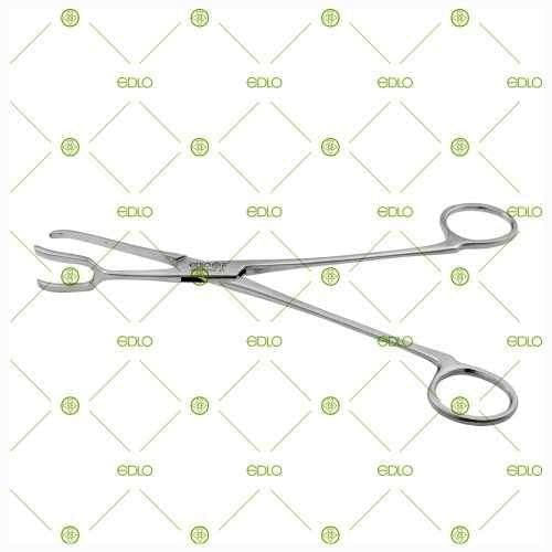 image-04b15370d5ae40c6a503c204b99a43ad