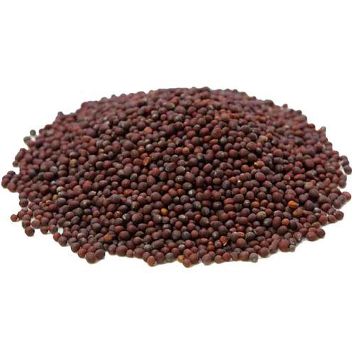 image-f11a61af339746108da6a24fe4816112 image-f11a61af339746108da6a24fe4816112