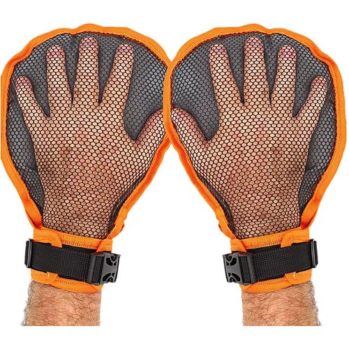 image-28566ab599cc4cb08064f49554834609 image-28566ab599cc4cb08064f49554834609