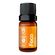 758841---Blend-de-oleos-Essenciais-Beessential-Foco-10ml-1