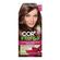 Tintura Garnier Nutrisse Cor Intensa Castanho Claro Acaju 5.52