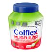 Colágeno Colflex Muscular em Pó 381g