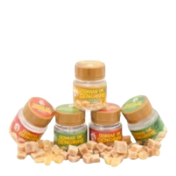 Goma De Gengibre Ardrak Fresh Tradicional 30g