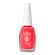 766577---Esmalte-Colorama-Bloquinho-Atras-do-Arroba-8ml-1