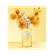 image-0ace3172a7704ce1b9bed240dab5bc40