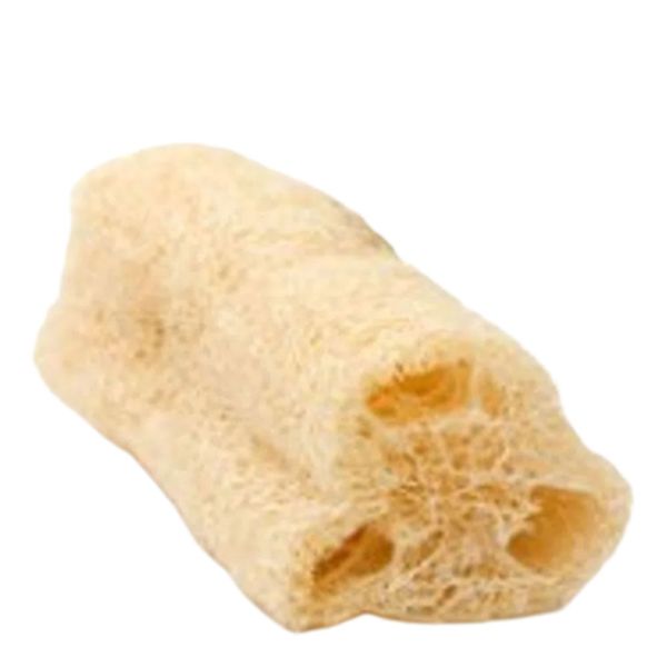 Bucha Natural Orgânica