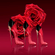 image-37f6c8dfbe4449e6add729b93d5cdb44