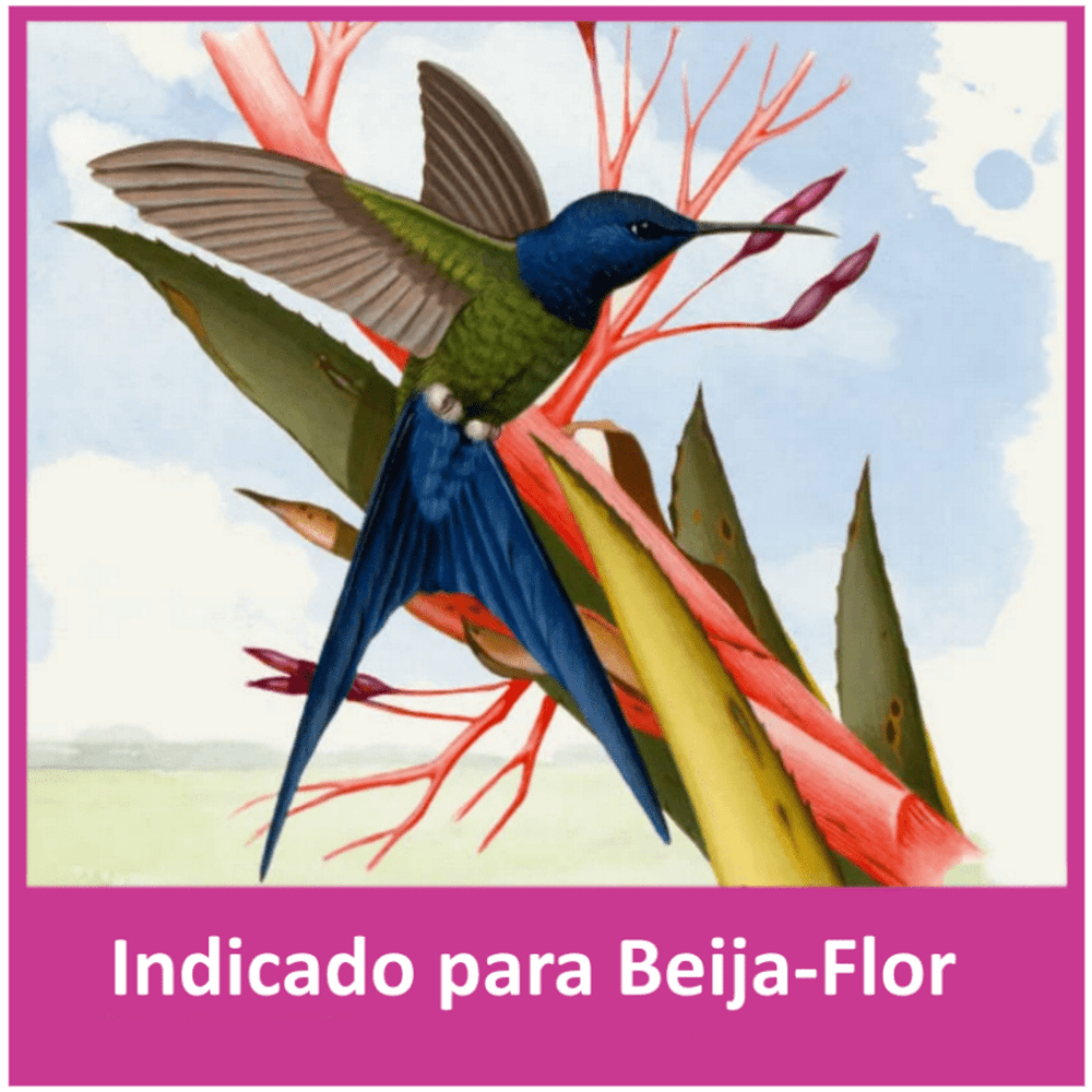 Alcon Club Néctar Beija-Flor - Agropet Girassol