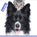 image-d4ad3bb335a1484fa48b404a36e5ba1a
