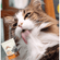 image-8f746b859d994591bd36acab0e9b0a01