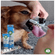image-5ff8f72dca7647eaa15d05cfe3b3ed1d