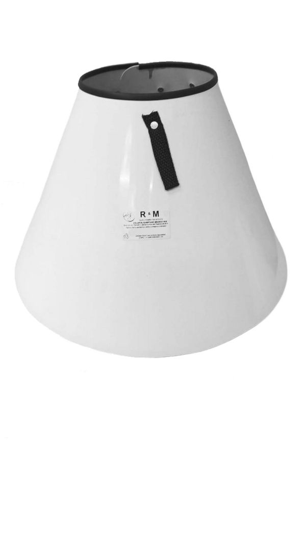 Colar Elizabetano Branco Sólido N°10 RM